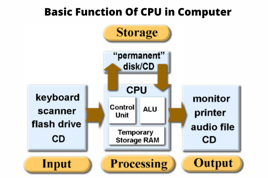 What Is Cpu And Its Components Parts Of Cpu And Their Vrogue co