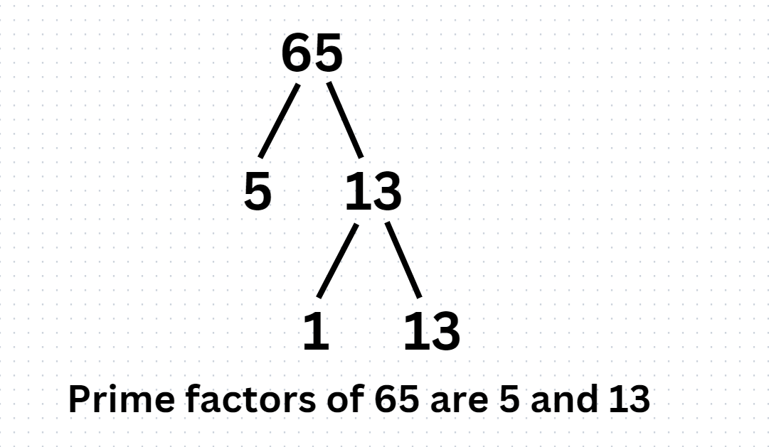 factors-of-65-ebhor